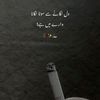 tariqalisolangi614