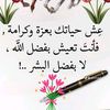 user26557540388141