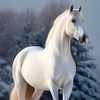 emin_osmanli
