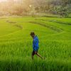 Adityarhmn | Ngaprak