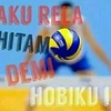 dulllvollyball