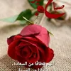user1362661350771