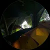 anyrand.tgr238