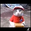 gdudvaubbfubxuaka