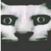 omarlghazi2