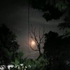 bagastri_4