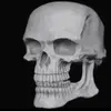 mrbonesded