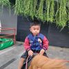 shatriaanom01