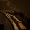 linn_ay0