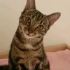 lucyloo050