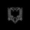 _enis_4_6_