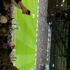 safc.george0