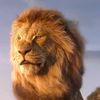 aboubacar.mb