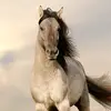 karimo.eltahawy