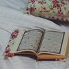 ahmed_sdb15