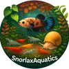 snorlaxaquatics