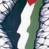 hananekhraiwesh