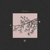 blossomed_enzo