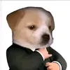 vihxthun211