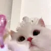 yourperfectgf