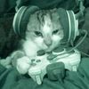 gatouuu2