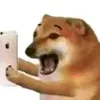 maynhincaichogi37578