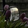 purple_yya14