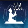 the_voice_of_the_quran_