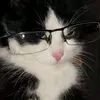 sweebs4