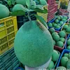 Việt Nhi Hoa Quả
