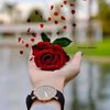 user10990058720904