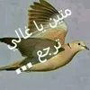 altjanymsry2