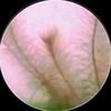 ponkojmondal679
