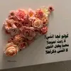 danala._0