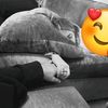 wll_ziyech_22