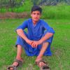 aedilusman446
