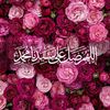 atyaf.rahilh0