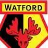 watfordfanforlife