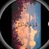 abu.jani49