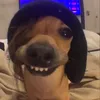 kavixyg