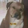 el_amigo_dan23