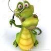 allegationalligator