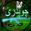 muhammadameenalitatla
