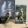 falconry.dbu.kaka