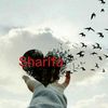 sharifa.mirzaeva