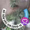 dai.phamvan73