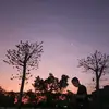 l.anh.huy593