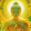 myozawmyozaw170