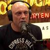 Rogan_Daily