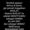 all.asry7